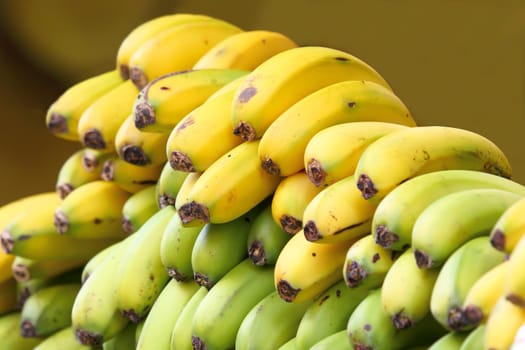 a brightly colored fruits to use as an example