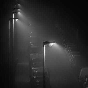 Modern LED street lights illuminating an empty foggy street, spider web on the lamp, square crop