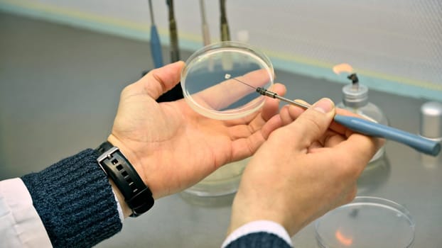 a scientist working in his lab with samples and researching