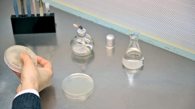 a scientist working in his lab with samples and researching