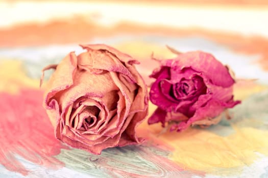 Abstract watercolor painting with dried rose buds