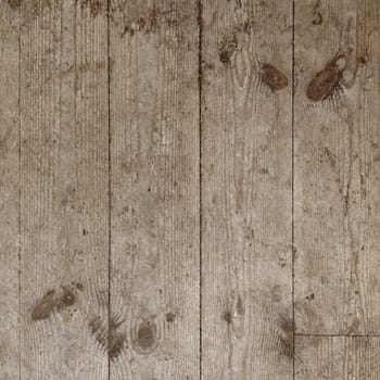 a Wood texture color background grunge noodles