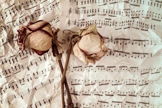 Dried roses on music sheets background