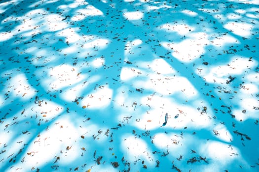 The tree shadow cast on the concrete floor . Shadow of tree on ground. Abstract and blur background.autumn leaves on ground