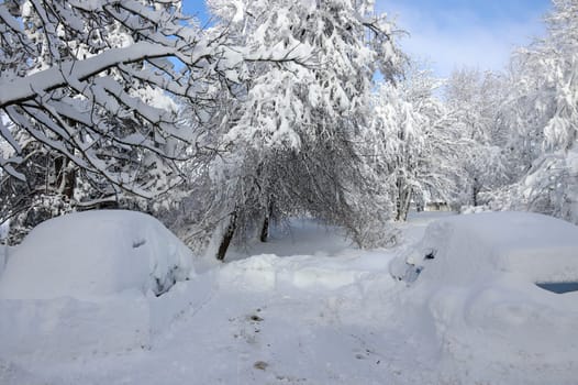 Two completely snowed cars on a parking lot in winter