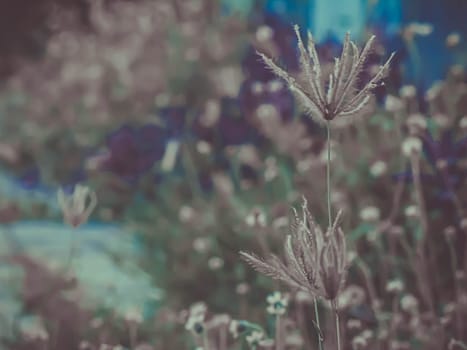 A beautiful field wildflowers wild grass over blur nature background.