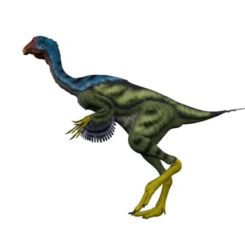 Caudipteryx was a peacock-sized oviraptor dinosaur that lived in China during the Cretaceous Period.