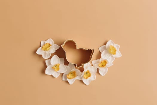 Spring Narcissus, bird Easter form for baking. Beige background. High quality photo