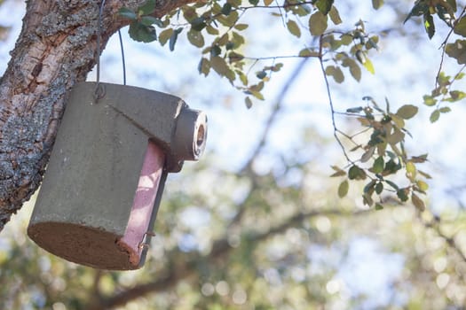 Trail camera polyurethane box. Placed hanging from tree branch
