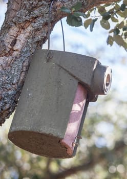 Trail camera polyurethane box. Placed hanging from tree branch