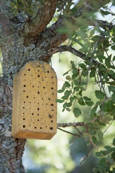 Concrete bug house. A concrete insect hotel hanging on tree