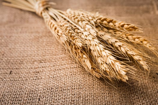 Bunch of grain on burlap background.