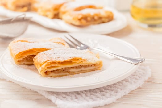 Homemade apple strudel (apfelstrudel) on white plate. Popular pastry cake in Europe