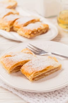 Homemade apple strudel (apfelstrudel) on white plate. Popular pastry cake in Europe