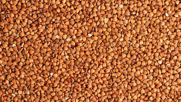 Detail photo of buckwheat (Fagopyrum esculentum) grain seeds heap, shot from above.