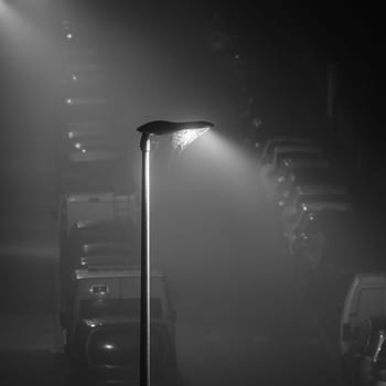 Modern LED street lights illuminating an empty foggy street, spider web on the lamp, square crop