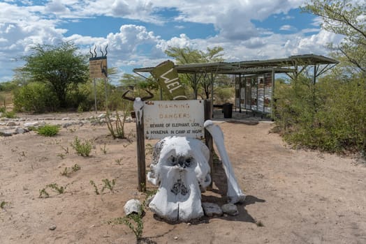 faded elephant skull at the reception of Khaudum National Park, Namibia