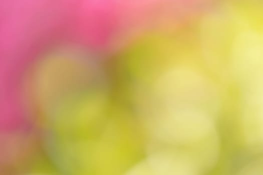 blurry natural background with shallow focus and bokeh, wallpaper or backdrop use. Spring background. Spring Backdrop. Natural background, Natural wallpaper. Spring wallpaper