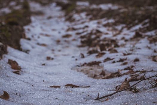 Close up shot of path with snow in the forest