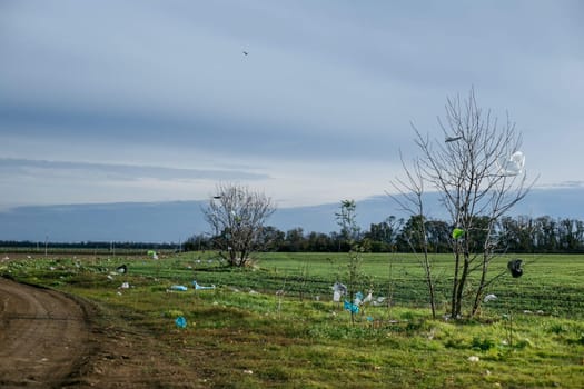 Garbage bags spread across the field and trees.