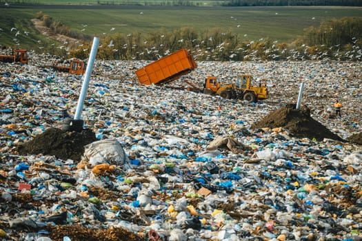 Work of special equipment at the pumping range. Bulldozers are clearing up the garbage. Seagulls over the landfill.