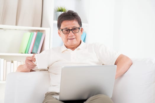 Portrait of mature Asian man using computer laptop, enjoying cup of coffee in morning, sitting on sofa at home, senior retiree indoors living lifestyle.