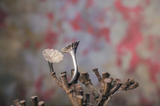 Close up of silver ring, manufactured by Ornella Salamone