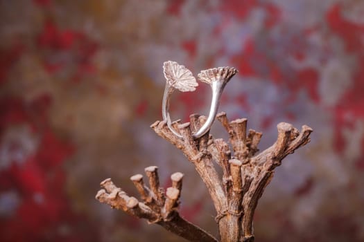 Close up of silver ring, manufactured by Ornella Salamone