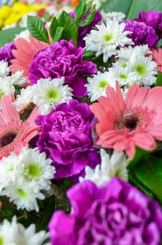 Carnation purple and colorful flowers bouquet decorated with green leaf in florist
