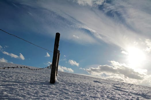 Barbed wire fence with fence post in the wintry landscape. An icy winter landscape with fence posts