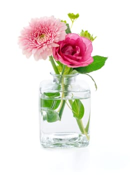 Flowers in a glass vase on a white background