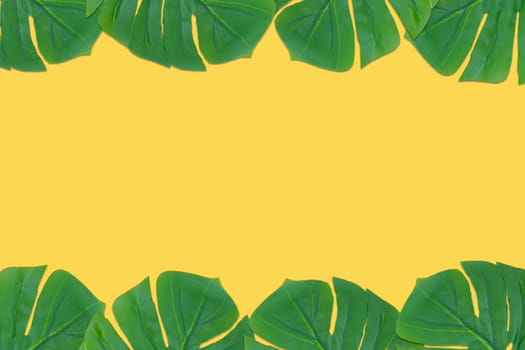 Monstera leaves summer on yellow background. Copy space concept and top view