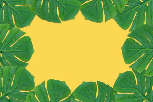 Monstera leaves summer on yellow background. Copy space concept and top view