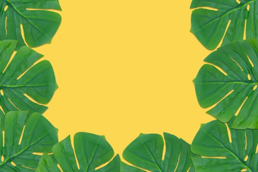 Monstera leaves summer on yellow background. Copy space concept and top view