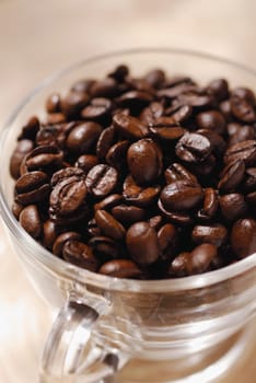 High angle view of coffee beans in a cup