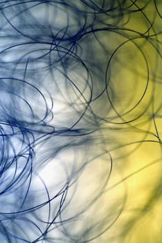 Close-up of an abstract spiral pattern