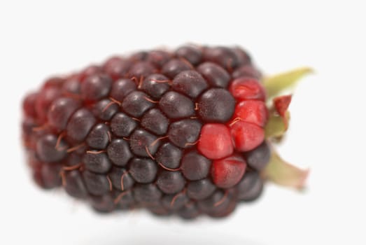 Close-up of a bunch of blackberries