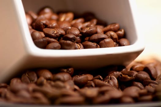 Close-up of coffee beans