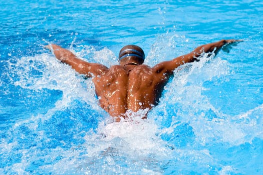 Rear view of a mid adult man swimming the butterfly stroke in a swimming pool