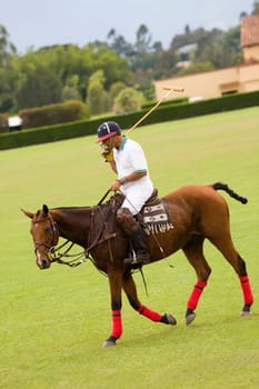Side profile of a mature man playing polo