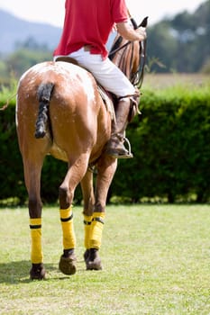 Rear view of a man playing polo