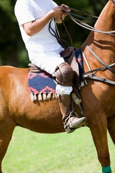 Low section view of a man riding a horse