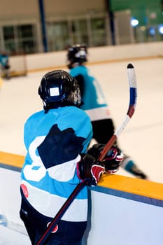 Rear view of an ice hockey player watching ice hockey