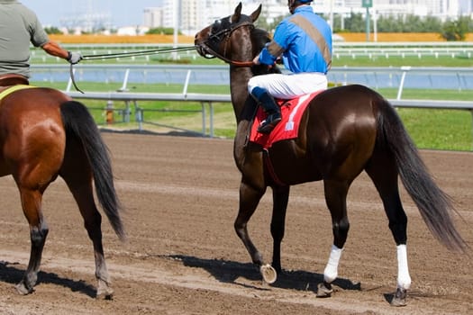 Rear view of two jockeys riding racehorses