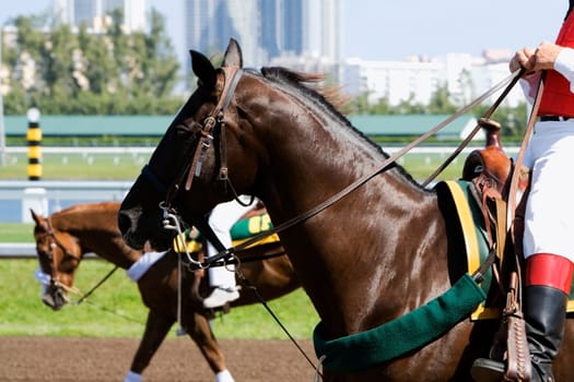 Low section view of two jockeys riding horses in a horse race