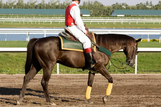 Side profile of a jockey riding a horse on a horseracing track