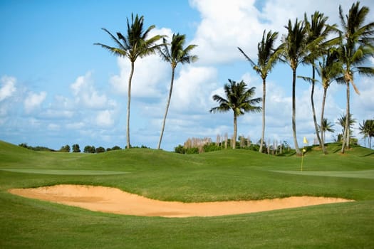 Palm trees in a golf course, Kauai, Hawaii Islands, USA