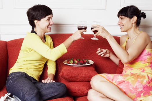 Side profile of two mid adult women toasting with red wine