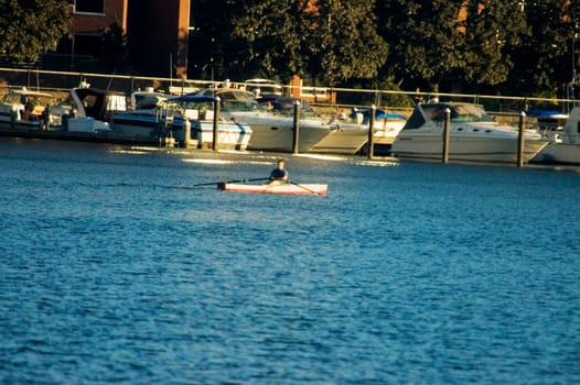 Man sculling on a river