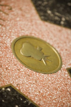 Close-up of a star on the Hollywood walk of fame, Los Angeles, California, USA